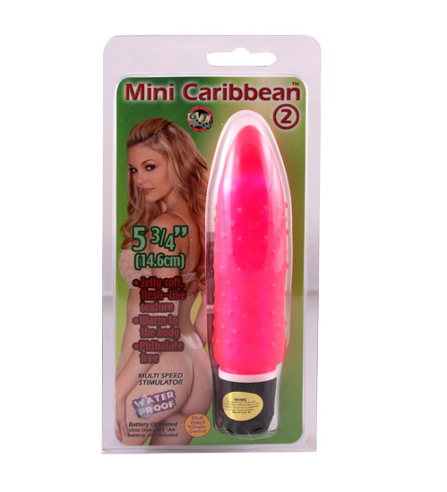 Mini Caribbean #2
