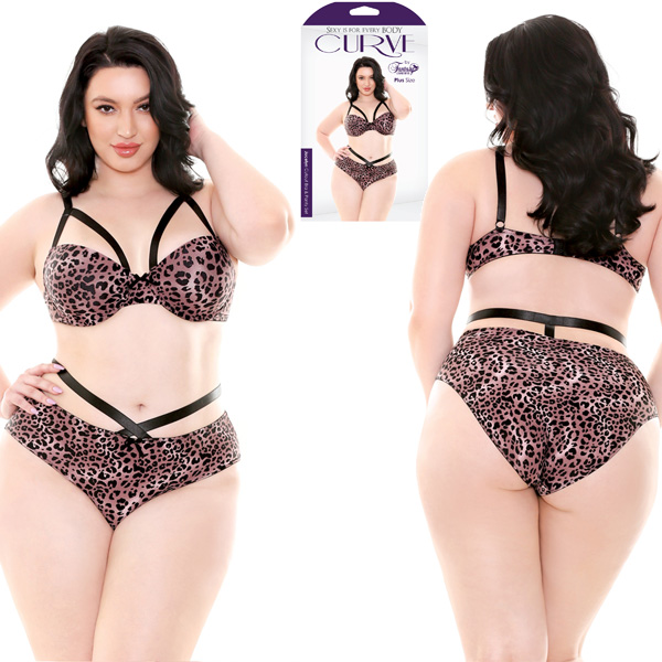 Jocelyn Cutout Bra & Panty Set - 1X/2X Boxed