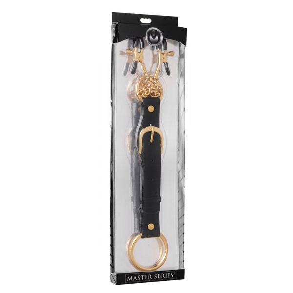 Master Series Penitentiary Nipple Clamps And Cock Ring Set