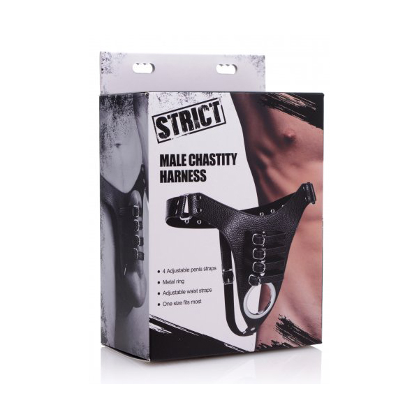 Strict Male Chasity Harness